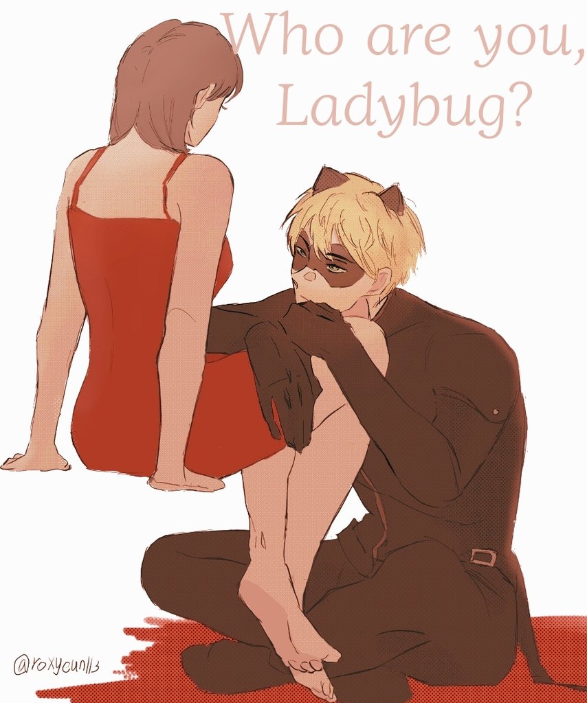 #MiraculousLadybug 
#LADYNOIR #Adrinette #Marichat 
넌 누구야, 레이디버그?
