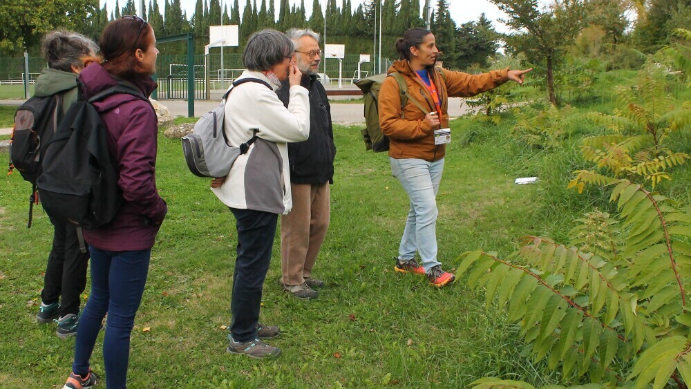 Les balades naturalistes du Naturoptère de Sérignan-du-Comtat trouvent leur public
👉 l.laprovence.com/TVC0