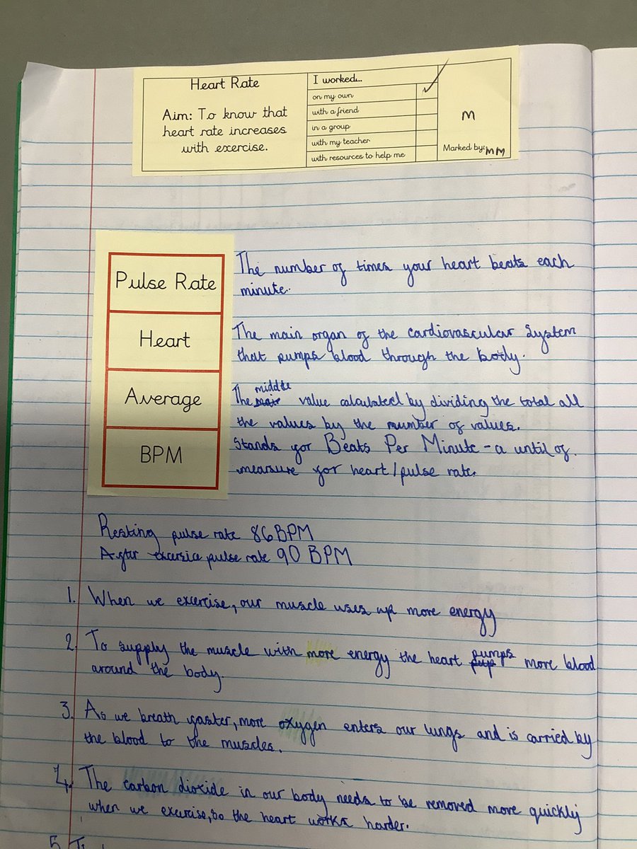 Y6 investigated what happens to pulse rate after exercising.
#StCuthbertsScience