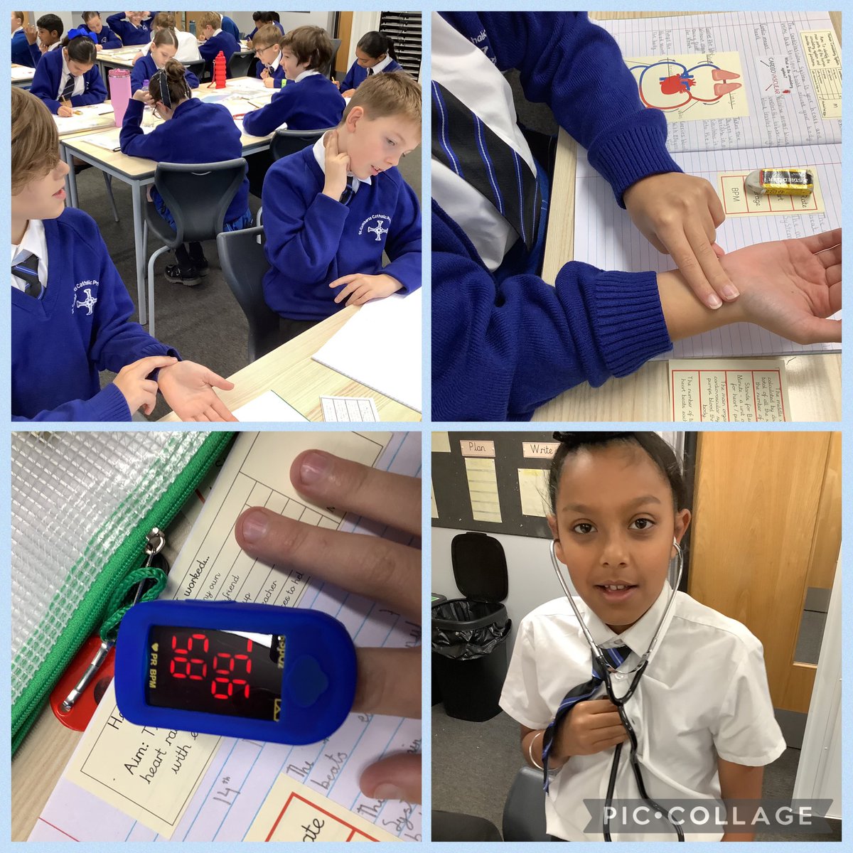 StCuthbertsPri's tweet photo. Y6 investigated what happens to pulse rate after exercising.
#StCuthbertsScience https://t.co/QaZrIcSDGH