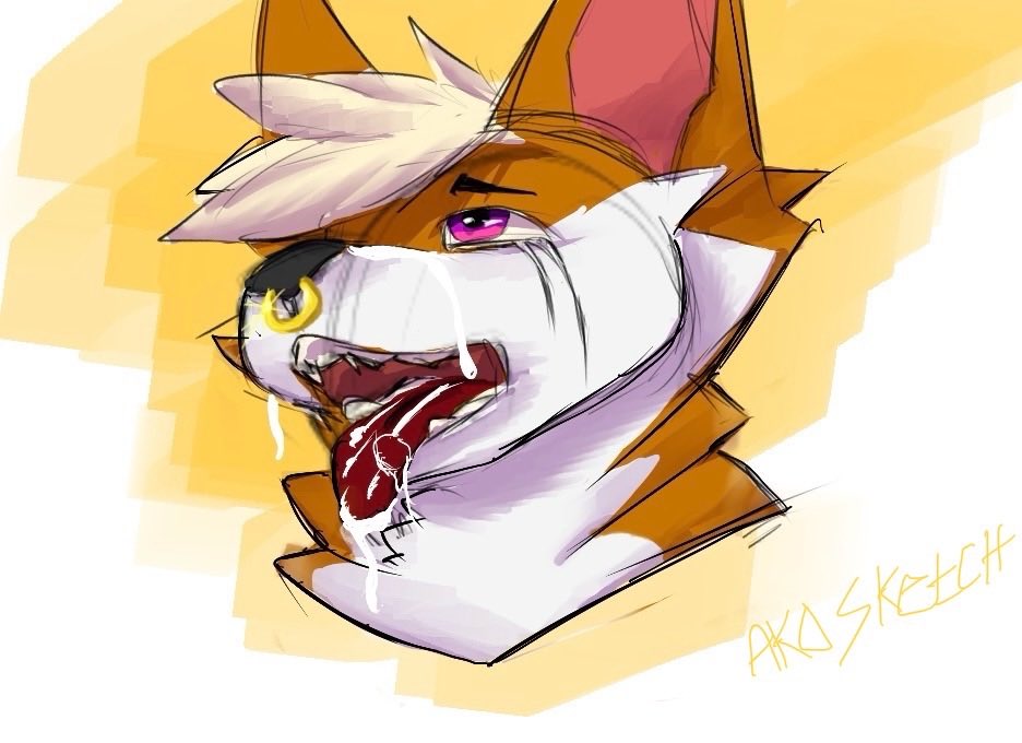 Ako Sketch tweet media