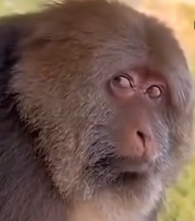 gleich erstes mal seit juli arbeiten