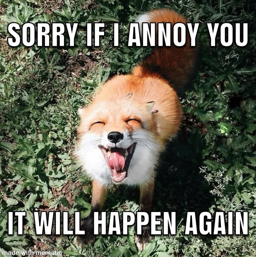 Happy fox Friday guys.