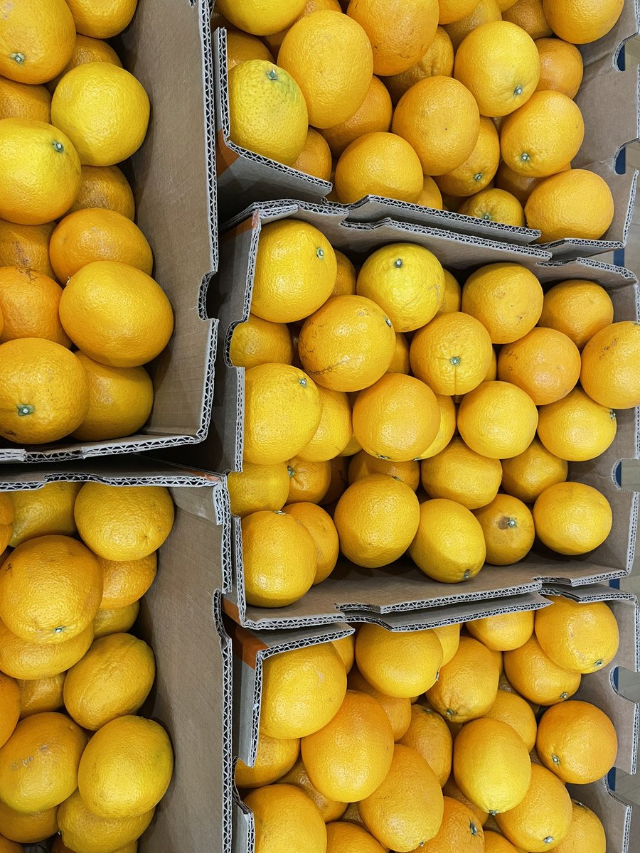 Jillian Elkaim tweet media