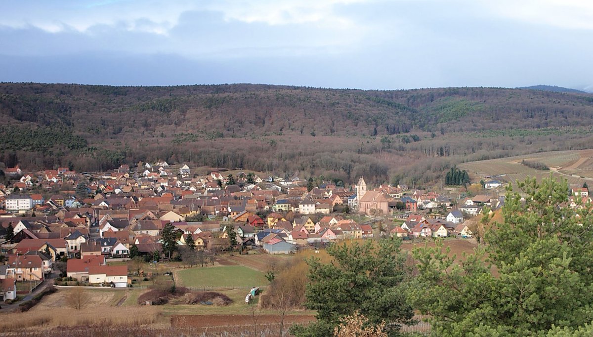 randoenalsace's tweet photo. La rando de la semaine : une petite boucle dans la Vallée Noble #randoenalsace https://t.co/OQFgl8YQ9n