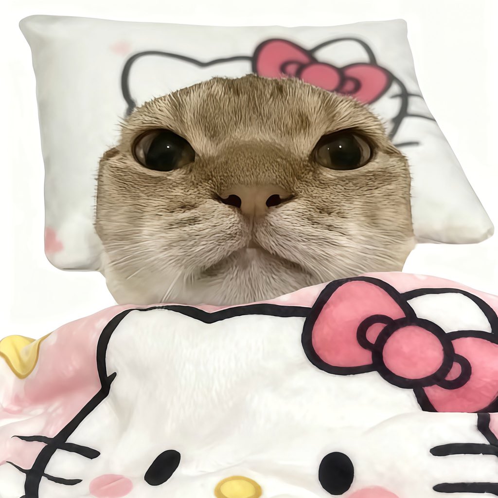 Ayo… mark this.. dun fade dis cat <a href="/hajimi_CTO_BNB/">哈基米</a>