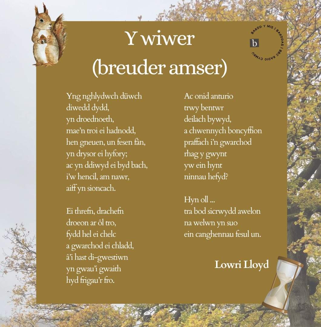 Cerdd arall gan ein Bardd y Mis, fis Tachwedd – Y wiwer (breuder amser) gan Lowri Lloyd 🐿️⏳

Meddai'r bardd: 'Cerdd am freuder bywyd yw hi ond mewn ffordd gadarnhaol gyda’r neges y dylem oll wneud y mwyaf o’r amser sy gyda ni er gwaethaf rhigolau a threfn bywyd.'