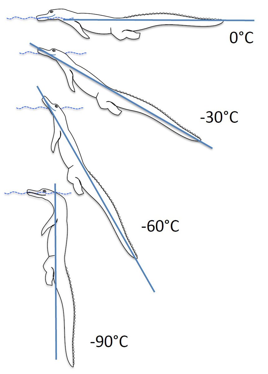 spot the error ❄️🐊