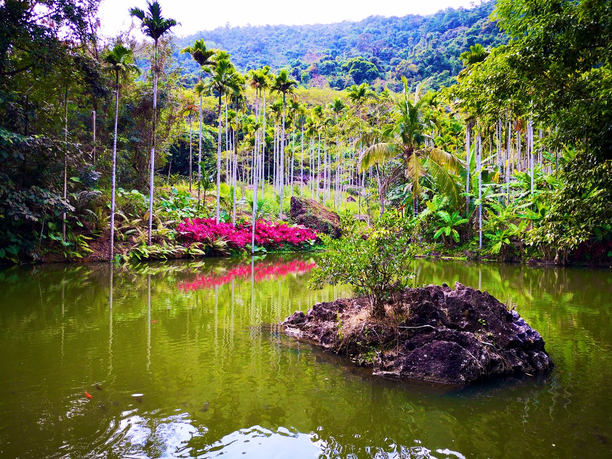 jjmmli's tweet image. Photo challenge: reflection🪞

Finding beauty in the quiet symmetry around us.