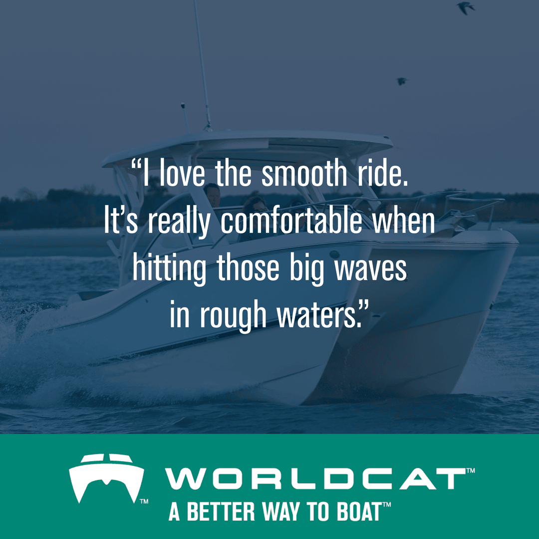 World Cat Boats tweet media