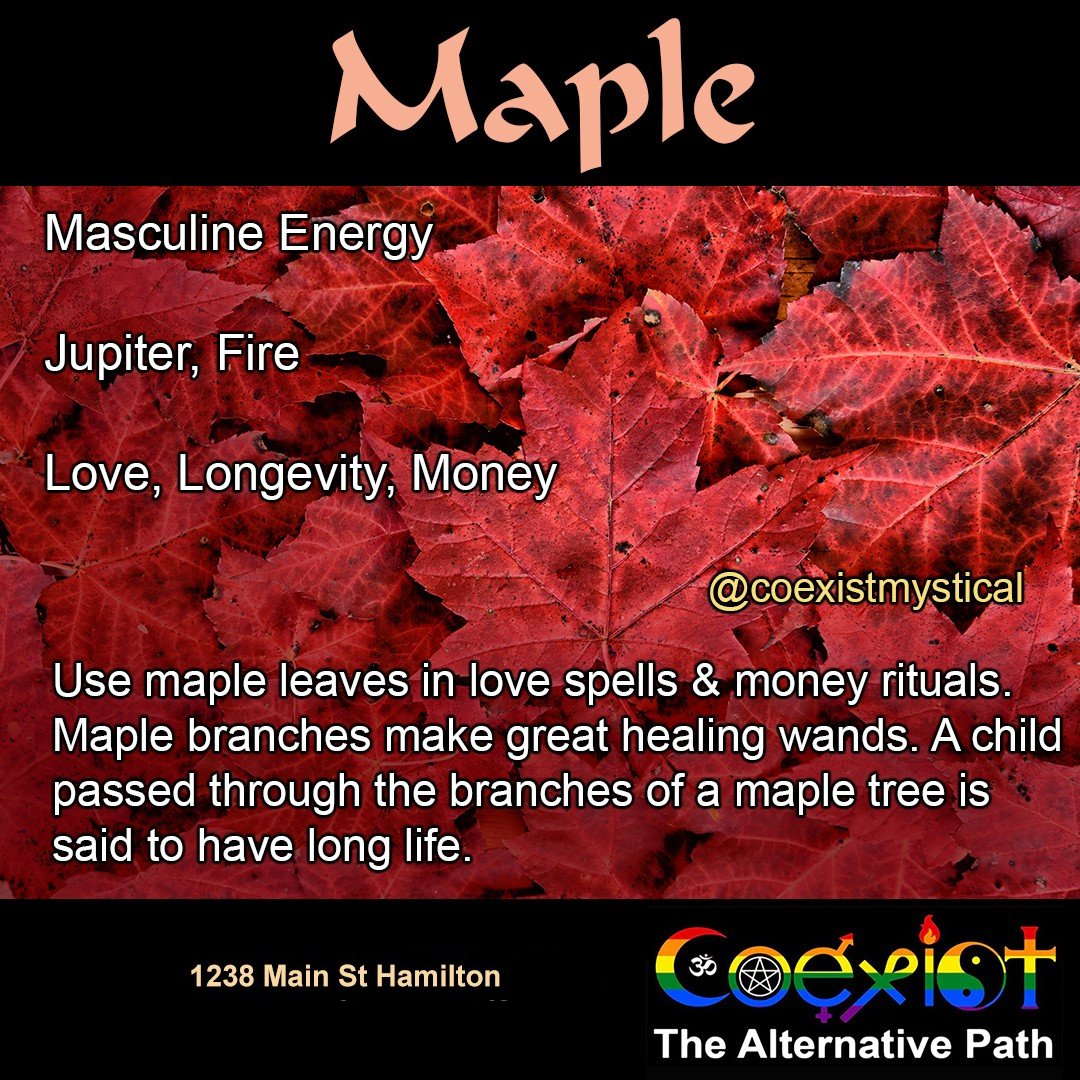 CoexistAltPath's tweet image. Do you leave the leaves untouched? Maple makes excellent healing wands, such a sweet healing tree. Use the bark in love spells and money rituals.  We let the leaves lay as untouched as possible during the fall thru winter to preserve the butterflies and other little life forms.