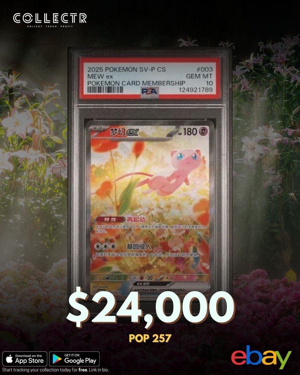 Collectr - TCG Collector App tweet media