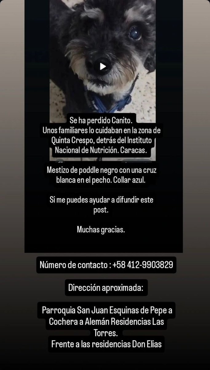 tu mamá tweet media