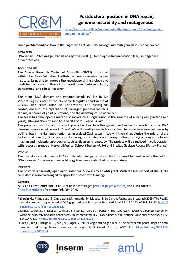 PagèsLab tweet media