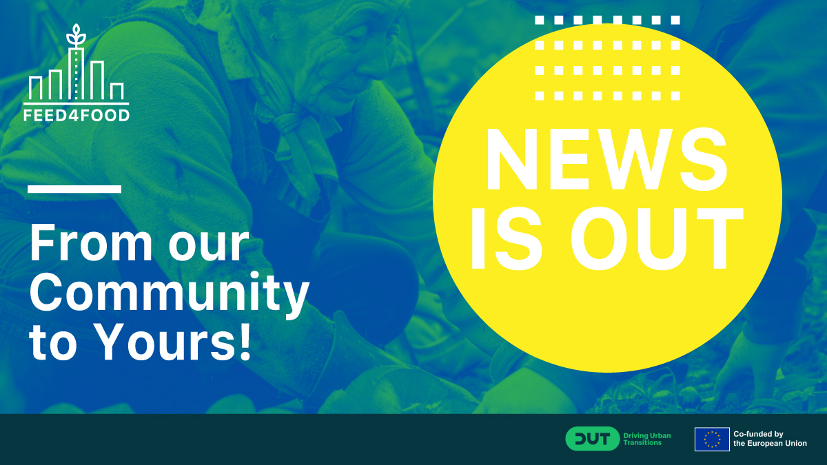 The new #FEED4FOOD newsletter is out!
Catch up on our latest activities, events, and Living Lab progress! Read here: preview.mailerlite.io/preview/930299…
#UrbanAgriculture #Sustainability #FoodSystems 
<a href="/AREA_Innovation/">AREA</a>
<a href="/Apodissi_Intl/">Apodissi</a>
@DiSCDigitalSus1
<a href="/GERiLAB12/">GERi LAB</a>
<a href="/acwfs_VU/">Amsterdam Centre for World Food Studies</a>
<a href="/StrovolosM/">Strovolos_Municipal</a>