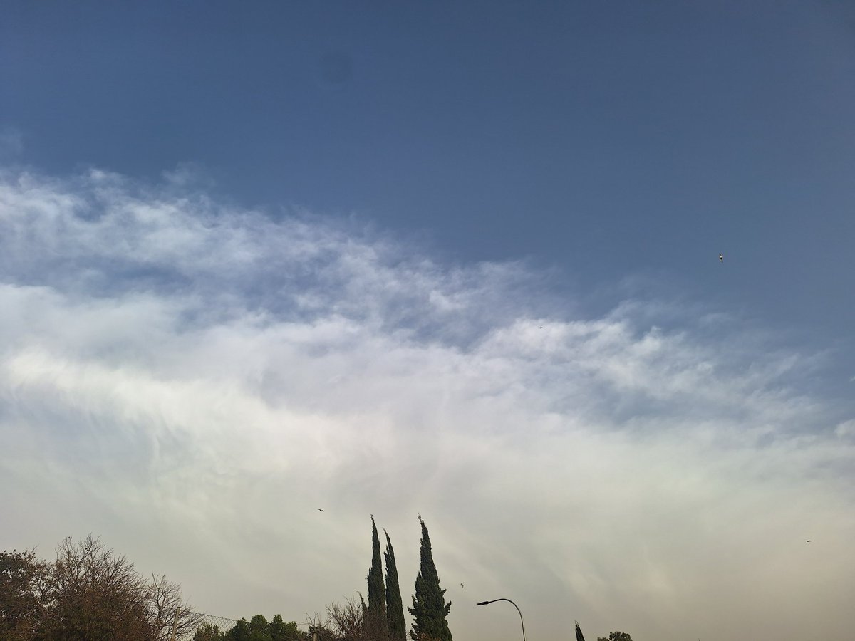 Ja se retira sa pols en suspensió.
<a href="/AEMET_Baleares/">AEMET_Baleares</a> 
<a href="/MiquelSalamanca/">Miquel Salamanca</a> 
<a href="/TempsIB3/">El temps IB3</a>