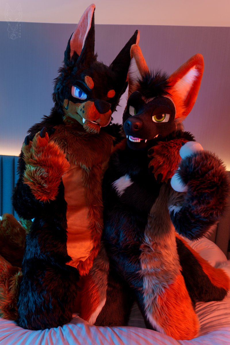 So you coming to play with us or what? #FursuitFriday

With the mischievous <a href="/ADedranWolf/">Dedran/Orbit 🔜 NFC, LVFC</a> 

Pic by <a href="/RikouPitou/">Rikou Pitou NSFW</a> during #FBL13 

Jessy by <a href="/99Daley/">99Daley</a> 
Orbit by <a href="/AlphaDogsStudio/">Alpha Dogs</a>