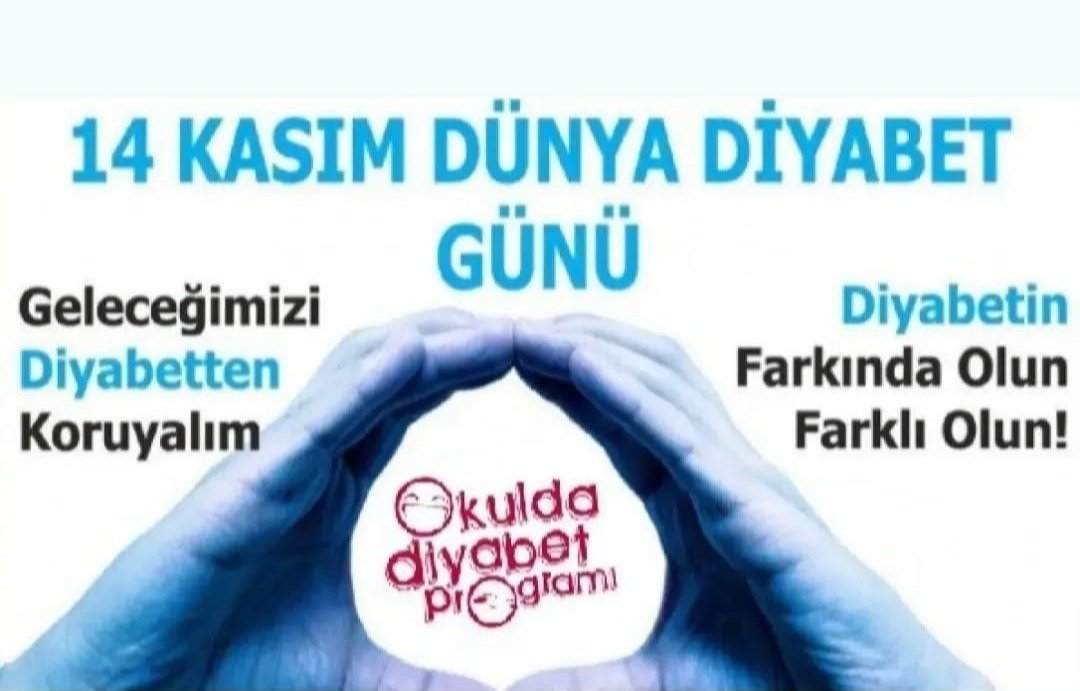 nesihnc's tweet photo. 14 Kasım Dünya Diyabet Farkındalık Günü. https://t.co/JcJbpFKaAH
