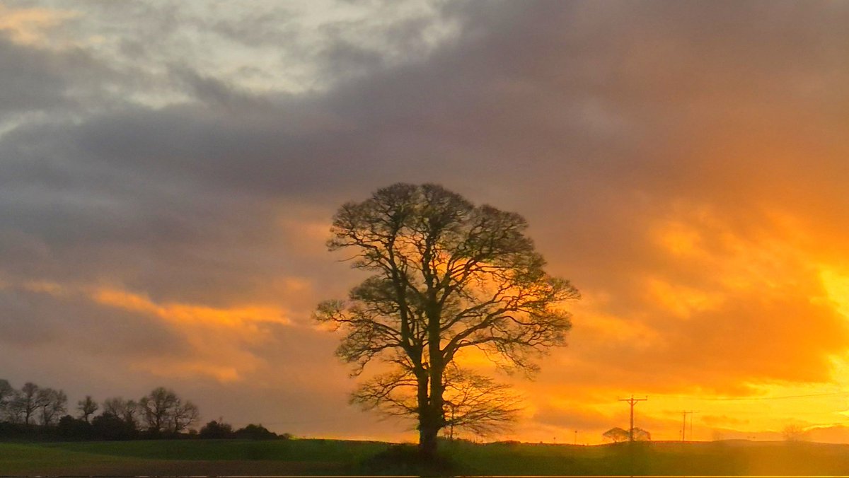 frasergj's tweet photo. Late afternoon sunshine around #Stirling (14/11) #WeatherWatcherGraham @BBCScotWeather @BBCAimsir @bbcweather #loveukweather✔️ https://t.co/8GwWSrBkdg