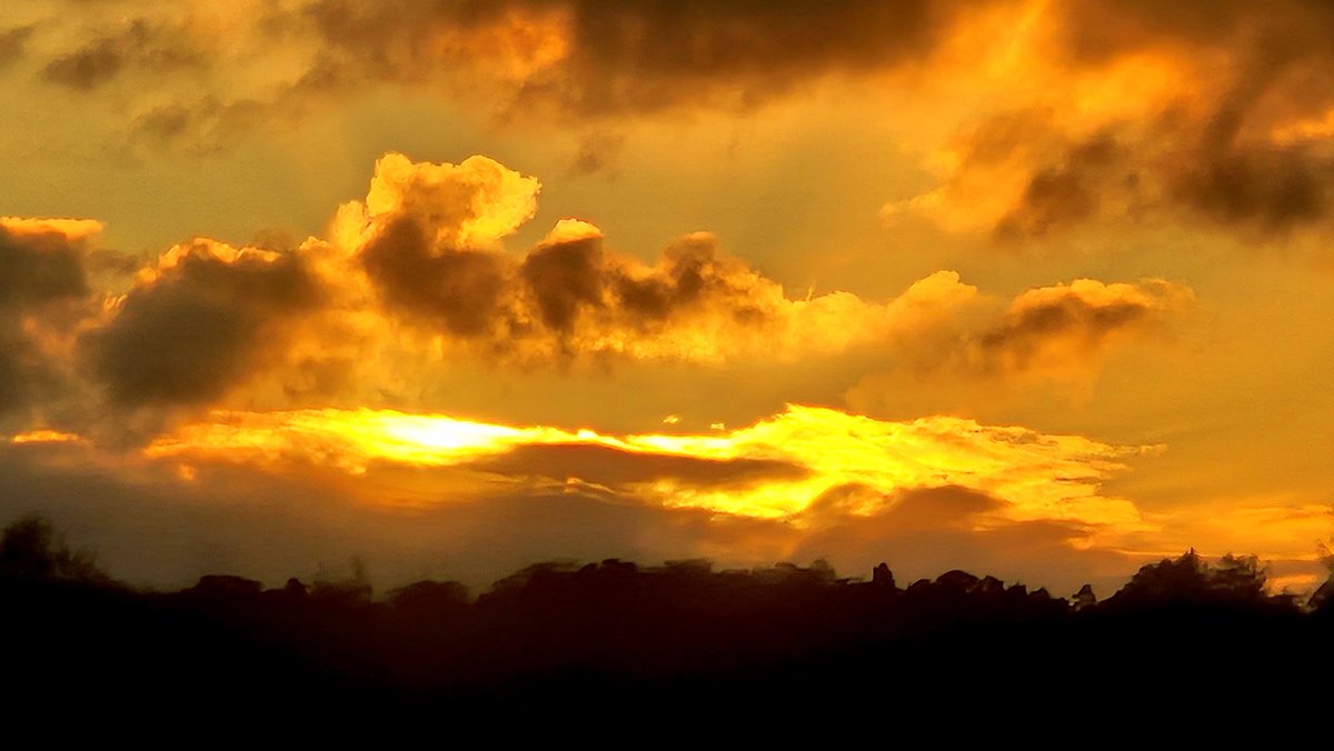 frasergj's tweet photo. Late afternoon sunshine around #Stirling (14/11) #WeatherWatcherGraham @BBCScotWeather @BBCAimsir @bbcweather #loveukweather✔️ https://t.co/8GwWSrBkdg
