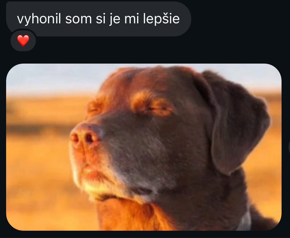 basedwugabo's tweet image. 