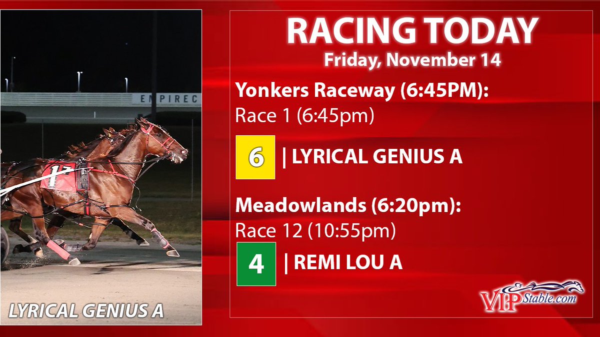 VIP Stable has two in today (November 14). Best of luck to the partners! #harnessracing #vipstable