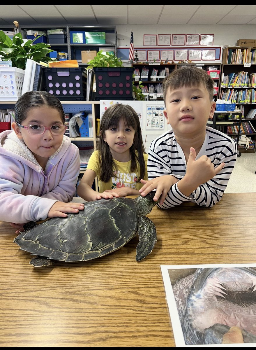 Providence Elem tweet media