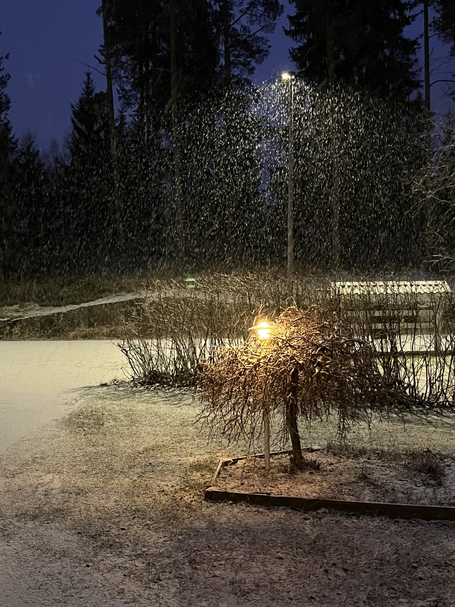 #talvi tulee #Petäjävesi.