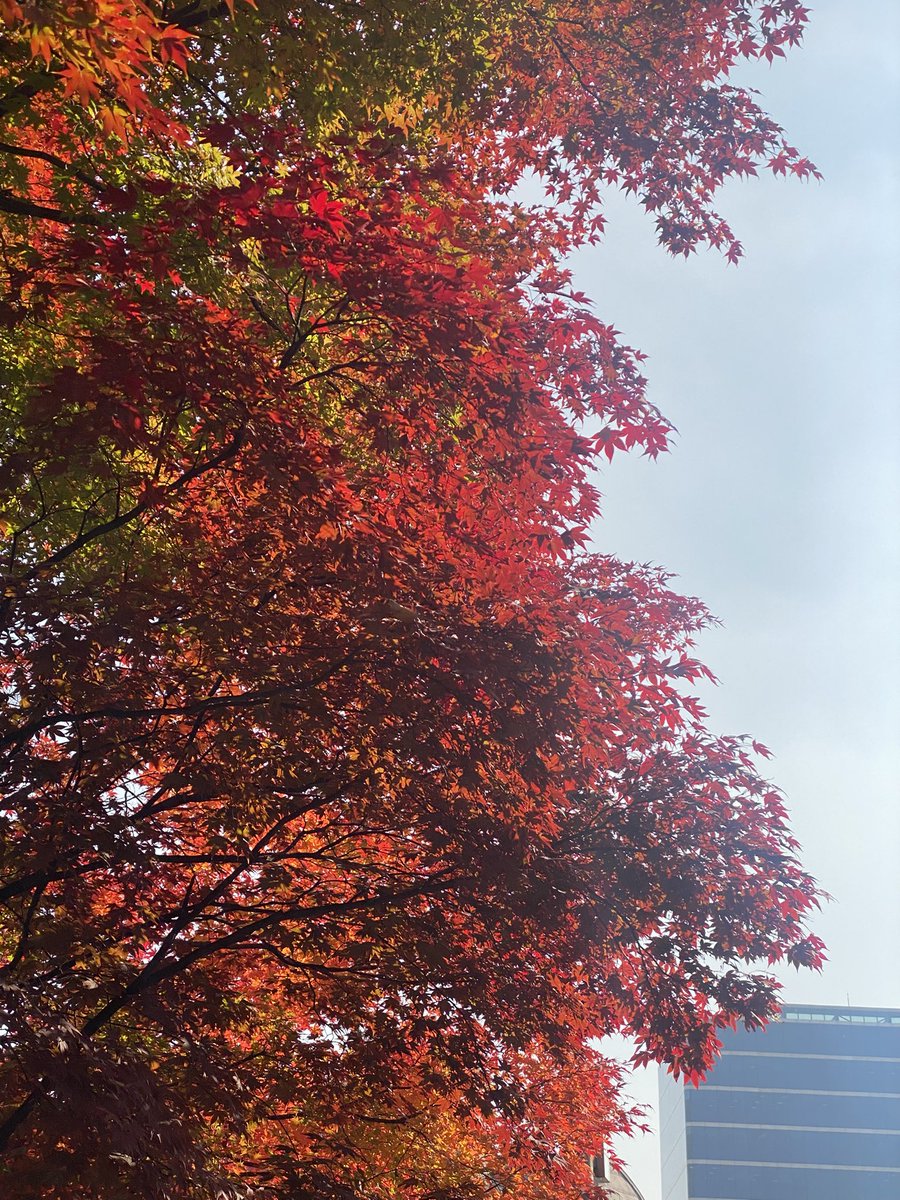 회사 장점: 주변 풍경이 끝내줘요