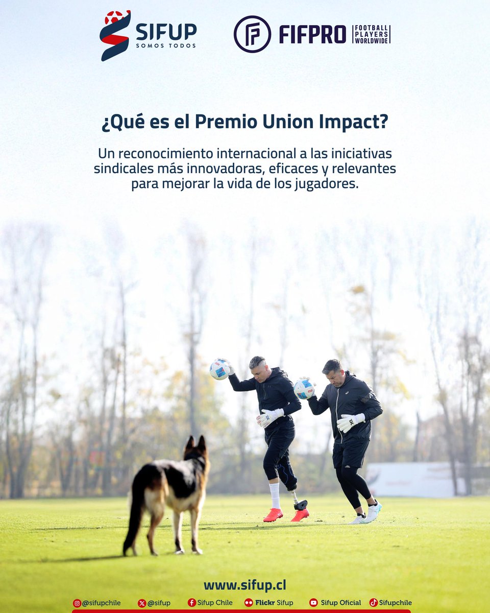 sifup's tweet image. 🇨🇱✨ ¡Estamos entre los 5 finalistas del Premio Union Impact de @FIFPRO! ⚽🌍

Nuestra nominación surge por el apoyo global a Cristóbal Campos, una iniciativa que mostró el poder de la unidad y solidaridad entre futbolistas. 💙

Un proyecto nacido en Chile… que hoy inspira al…