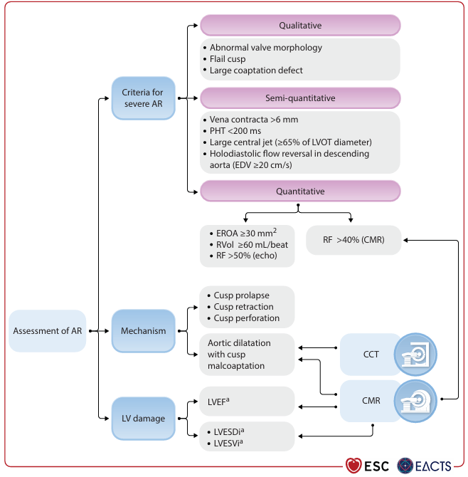 CardioTeca tweet media