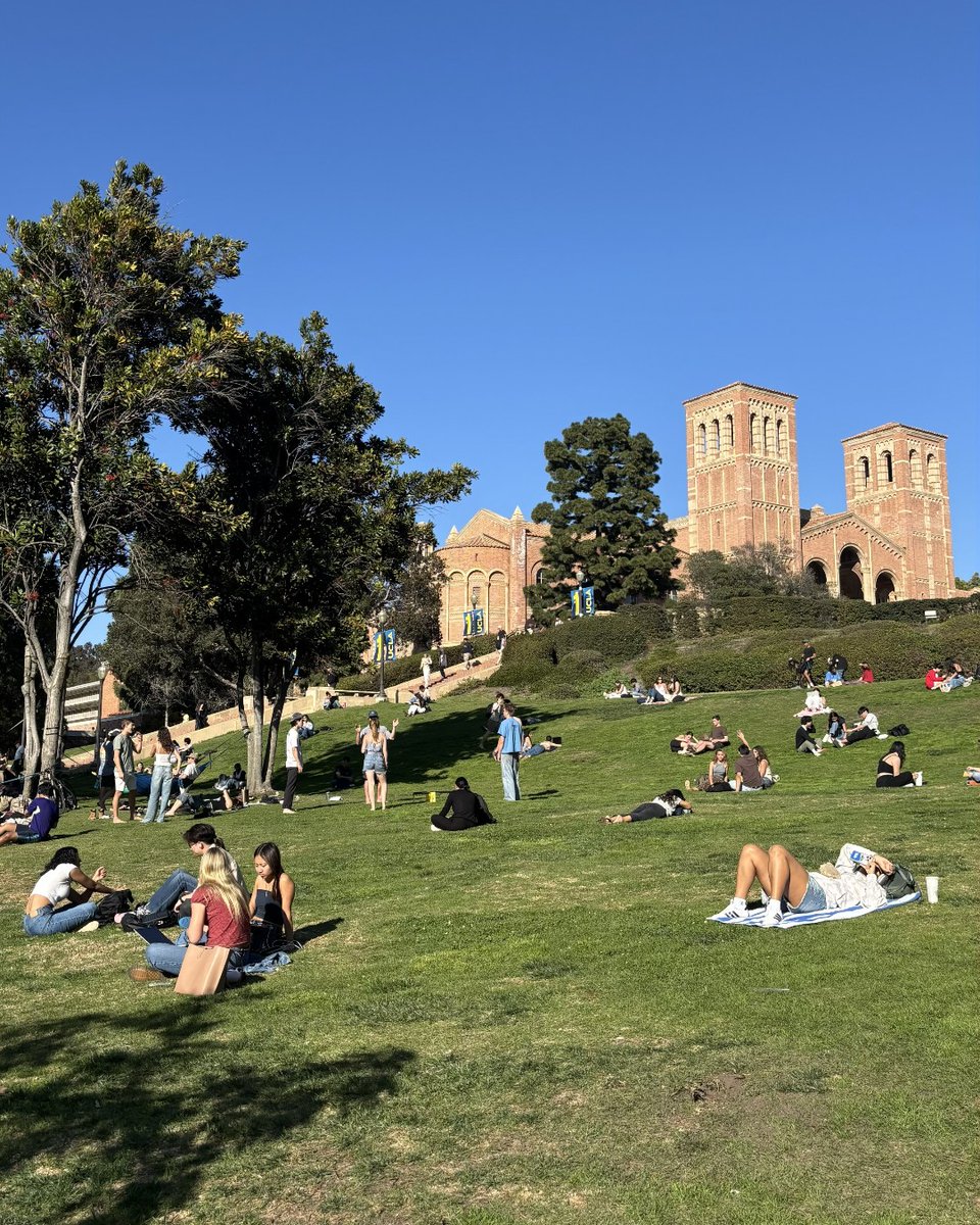 UCLA Summer Sessions tweet media