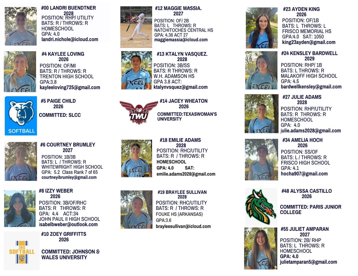 EXCEL ELITE 🥎 tweet media