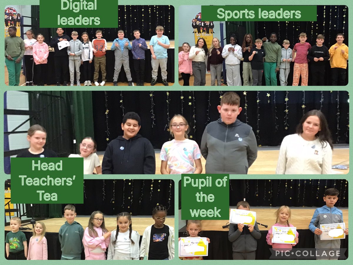 St David's PS & NC tweet media