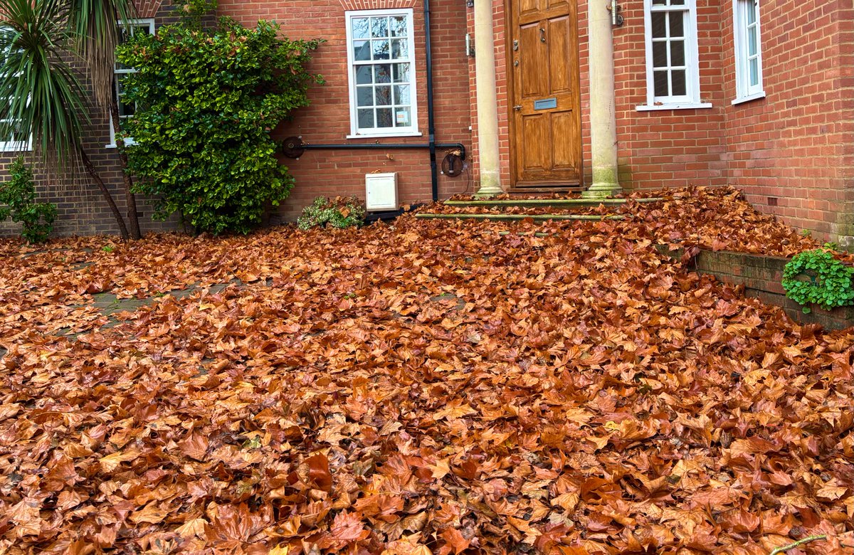 sayaka_tsuzuki's tweet image. Rainy St John's Wood walk.
しとしと雨のセントジョーンズウッド
ロンドンの落ち葉は、本当に贅沢なほどのボリューム😳🍁🍂

#London #StJohnsWood #RainyDay #LondonDays #uk #LondonLife #LondonWalk #ロンドン生活 #イギリス生活 #海外生活