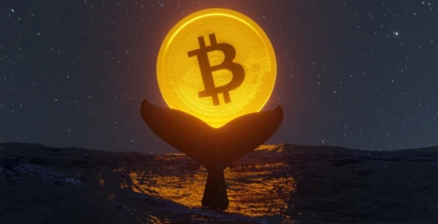 CoinMarketCap tweet media