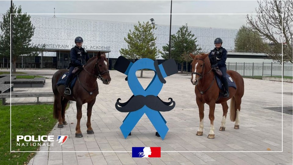 #Movember | Moustache et ruban bleu validés pour notre brigade équestre 🐴 Goliath, Aldo et leurs cavalières se mobilisent contre les cancers masculins.

Et comme vous #protéger est notre priorité, on vous le dit : pensez au dépistage. 💙
