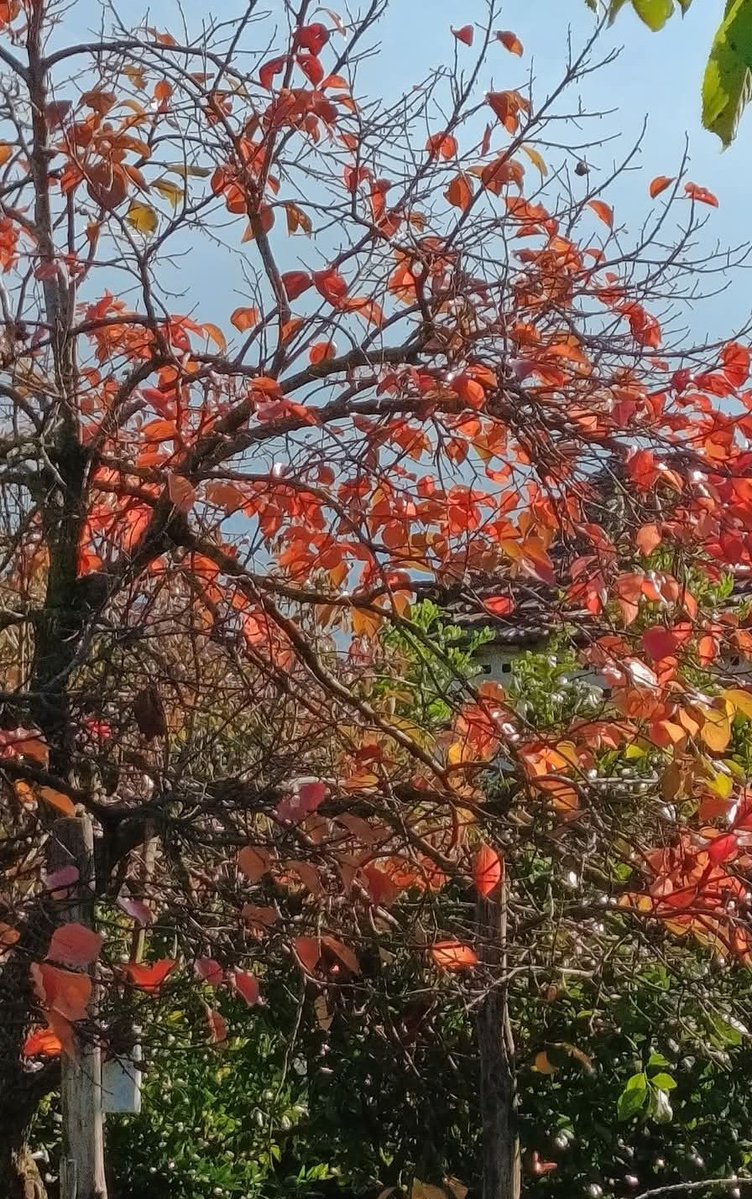 matteo_2212's tweet image. 