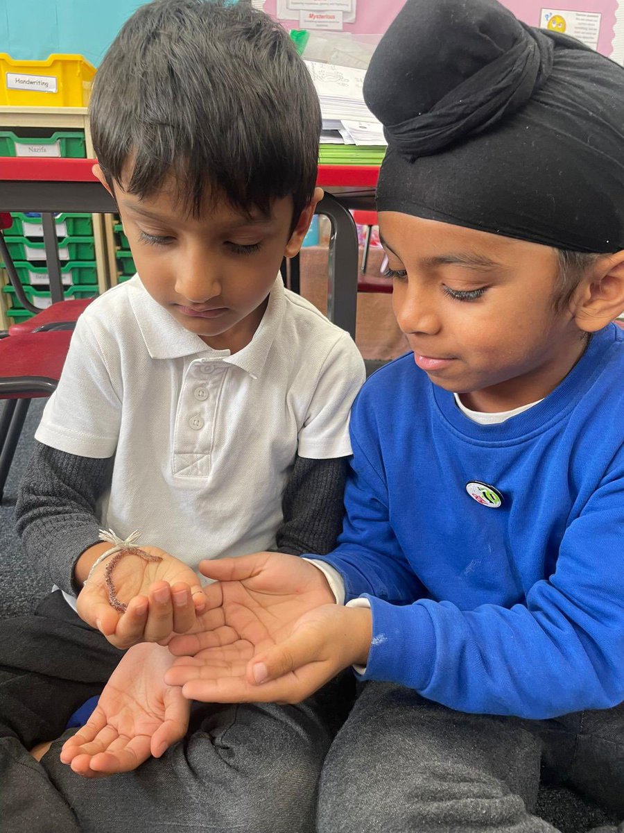 Elmhurst Primary School tweet media