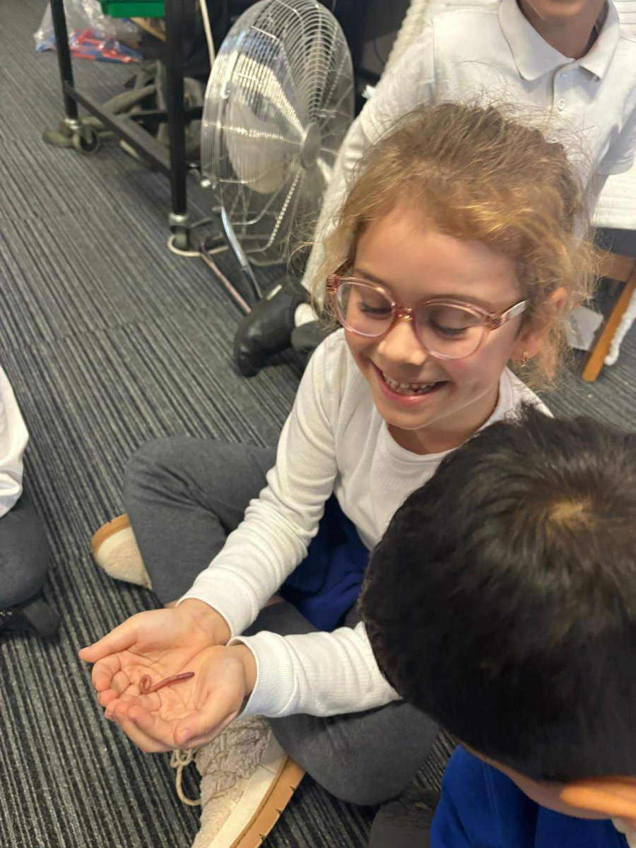 Elmhurst Primary School tweet media