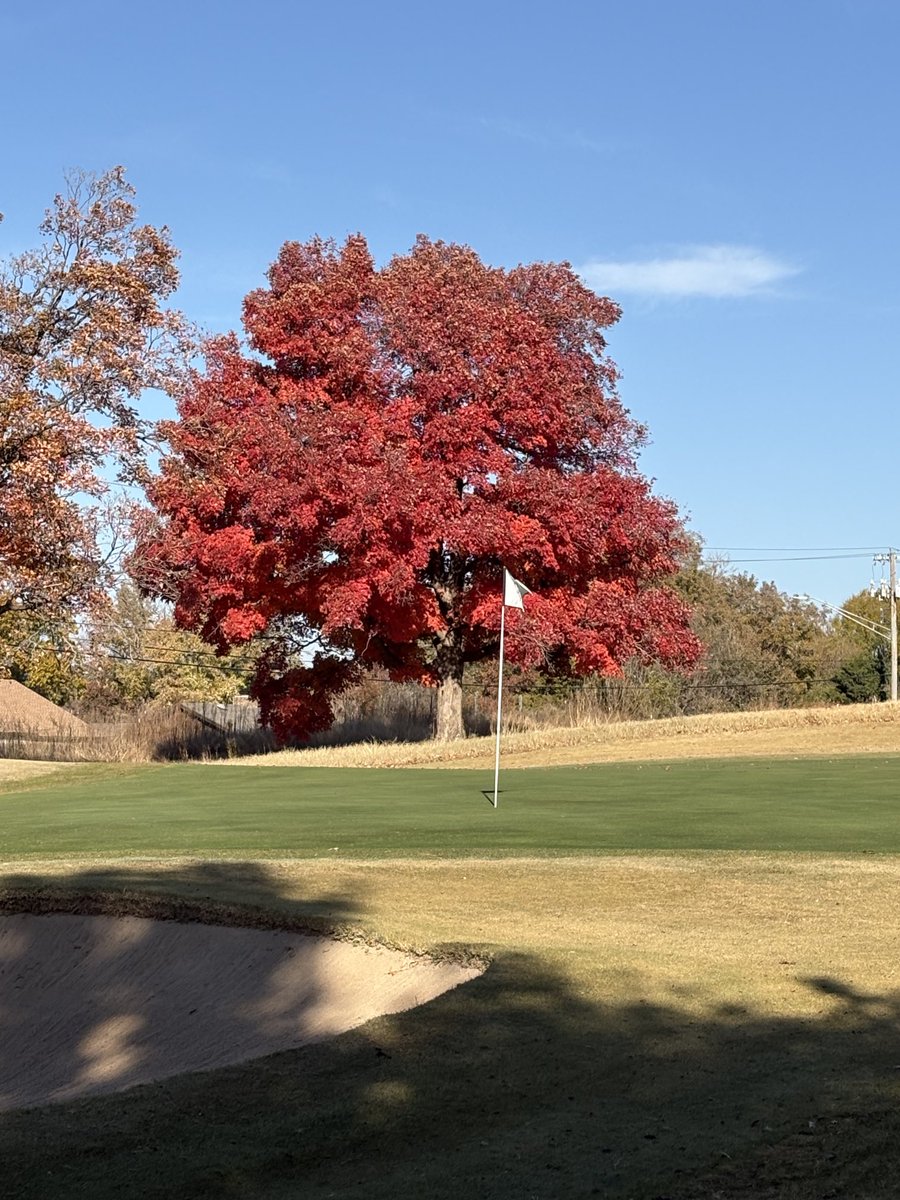 Larry Taylor tweet media