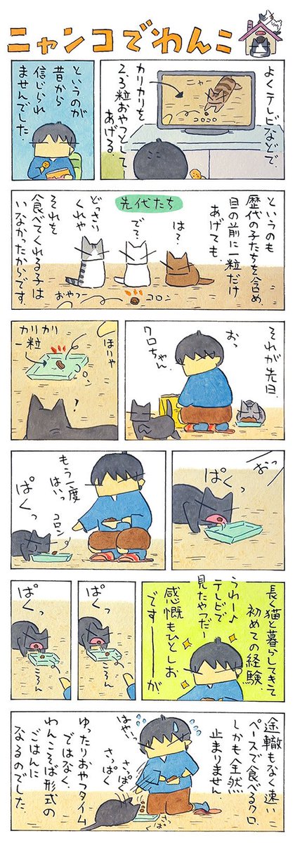 いっとく (@ittokudayo) / Posts / X