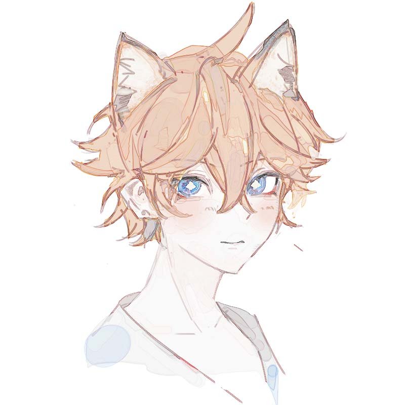 吴吴孟 tweet media