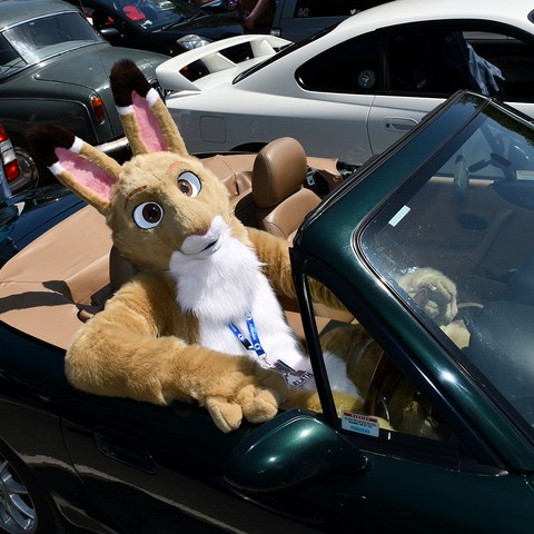 JarlathHare's tweet image. Not doing much this weekend. Just going for a drive into the country.🌲🐾🌳 
Care to join?🚘

#FursuitFriday
🧵: @CassiusRed
📷: DaIrishGoat