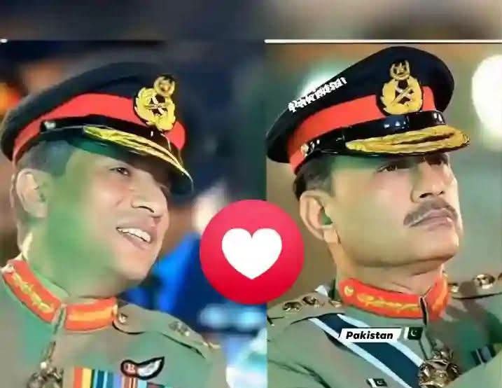 ان دونوں شیروں کے لیے کوئی ایک جملہ