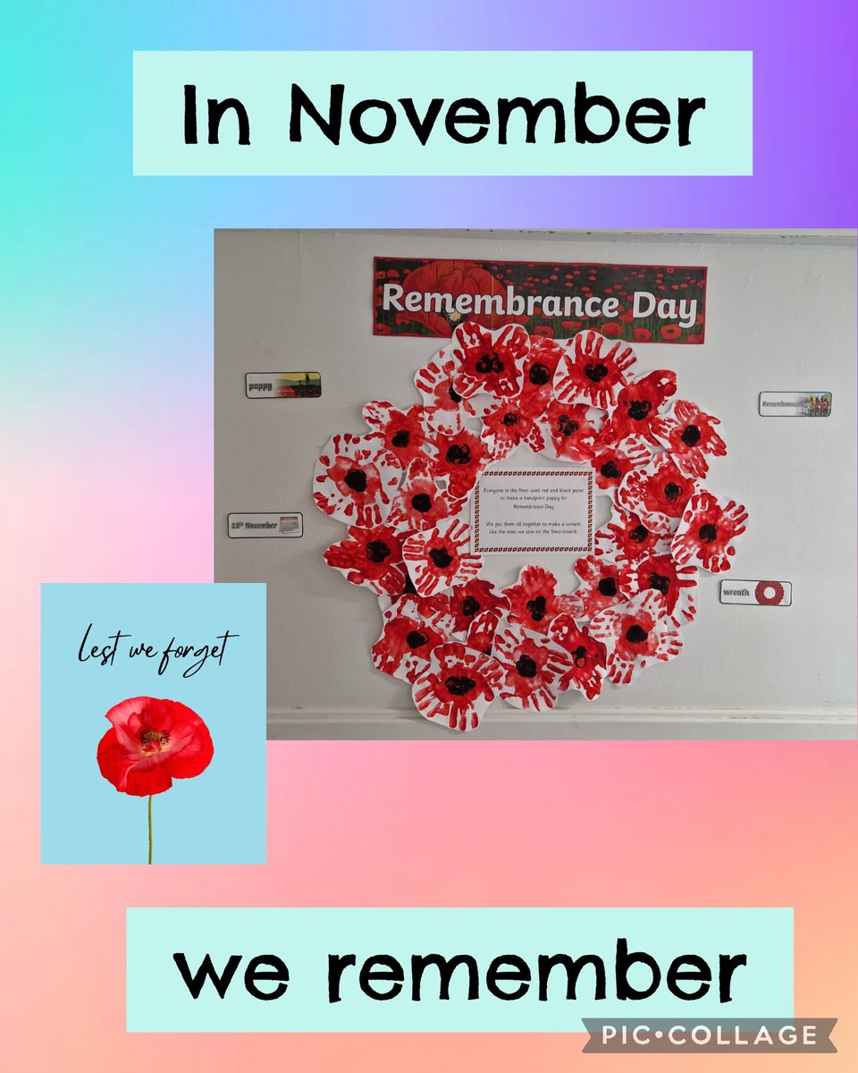 The entire nest worked hard with Mrs Christie to make our remembrance wreath.  It looks beautiful on our wall. 
Well done everyone. 
<a href="/DpBlueBirds/">Drumpark Blue Birds</a> <a href="/DpGreenBirds/">Drumpark Green Birds</a> <a href="/DpPurpleBirds/">Drumpark Purple Birds</a> <a href="/DpRedBirds/">Drumpark Red Birds</a> <a href="/DpYellowBirds/">Drumpark Yellow Birds</a> <a href="/drumparkprimary/">Drumpark</a>