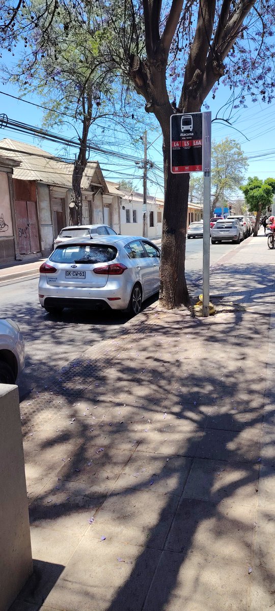 Radiogennesis FM tweet media