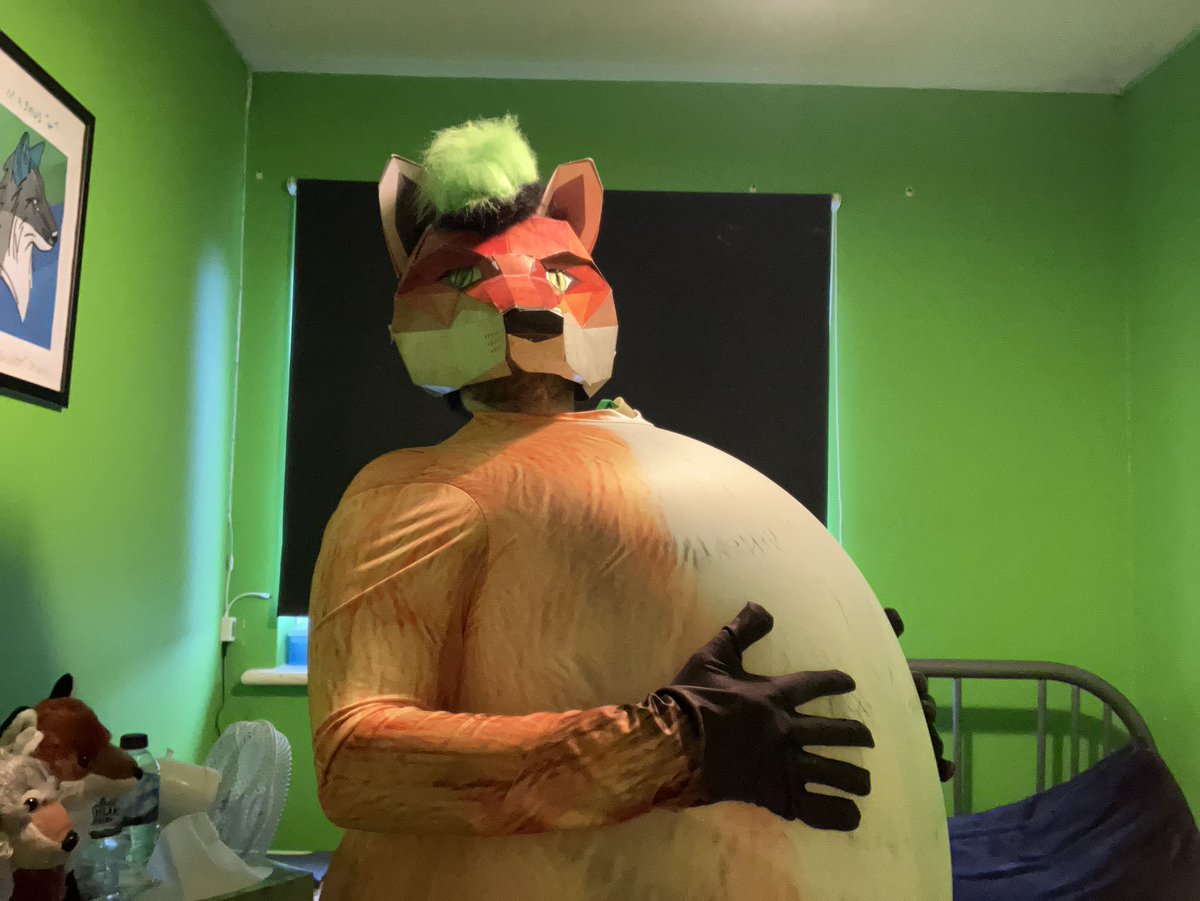SerenityFluff's tweet image. Is it possible to puff up in a fox petsuit? The answer is yes, it’s pawssible to do so! #petsuitinflation #furry #FoxFriday