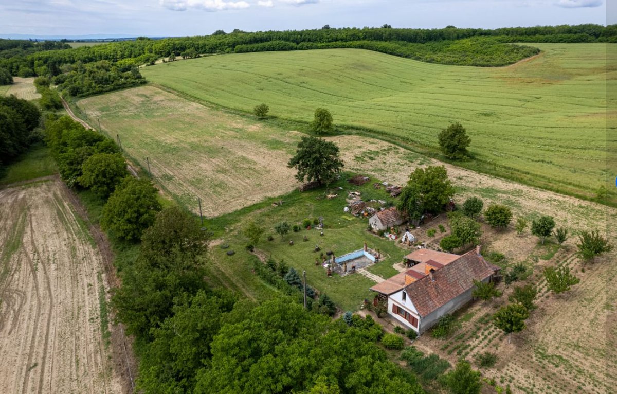 Viki en ik zijn de gelukkige eigenaren geworden van dit mooie paleisje. Midden in het bos. 1,5 km rondom geen buren... 
Oud &amp; Nieuw een leuk feestje als je in de buurt bent! 🥳