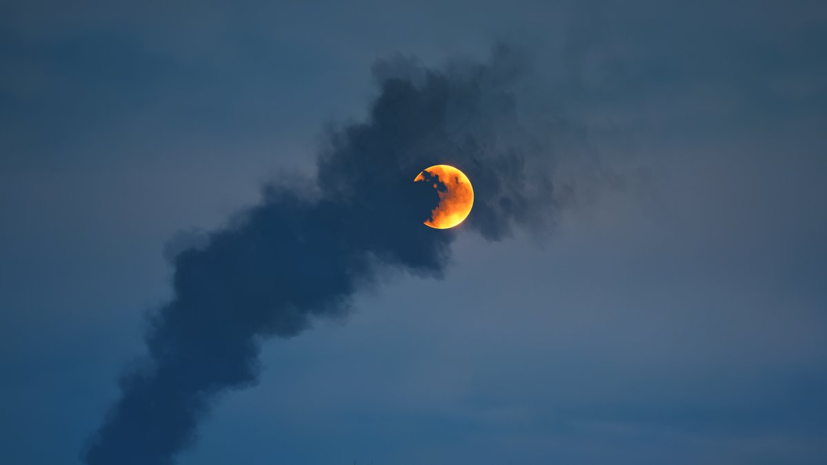 m_nt_13's tweet image. Acasa Marshes #MinimalFriday

Hell is Us